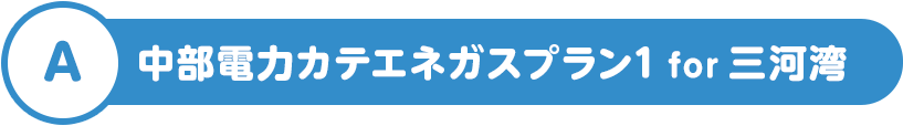 A 中部電力カテエネガスプラン1 for 三河湾