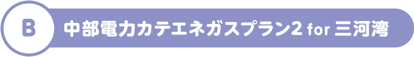 B 中部電力カテエネガスプラン2 for 三河湾