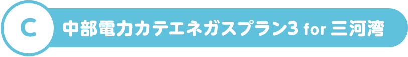 C 中部電力カテエネガスプラン3 for 三河湾