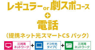 レギュラーor劇スポコース+電話(提携ネット光スマートCS パック)