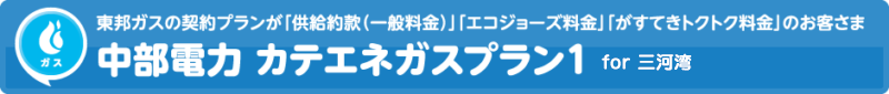 中部電力 カテエネガスプラン１ for 三河湾ネットワーク