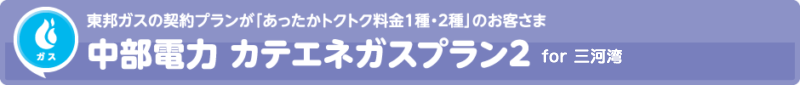 中部電力 カテエネガスプラン2 for 三河湾ネットワーク