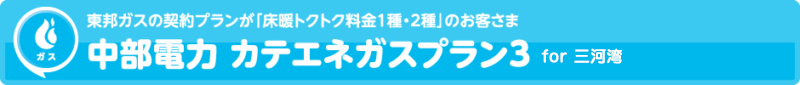 中部電力 カテエネガスプラン3 for 三河湾ネットワーク