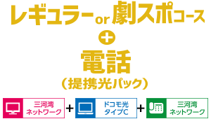 レギュラーor劇スポコース+電話(提携光パック)