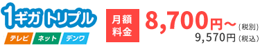 1ギガトリプル：月額料金8,700円～(税別)9,570円（税込）