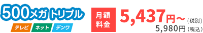 500メガトリプル：月額料金5,437円～(税別)5,980円（税込）