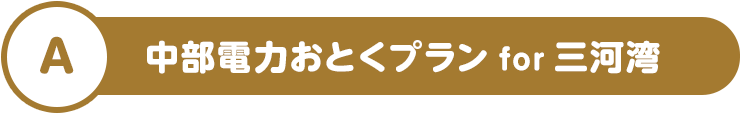 A 中部電力おとくプラン for 三河湾