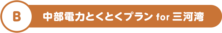 B 中部電力とくとくプラン for 三河湾