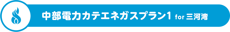 中部電力カテエネガスプラン1 for 三河湾