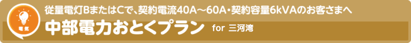 中部電力おとくプラン for 三河湾ネットワーク