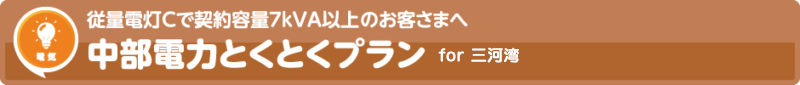 中部電力とくとくプラン for 三河湾ネットワーク