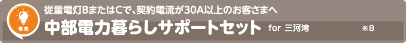 中部電力暮らしサポートセット for 三河湾ネットワーク